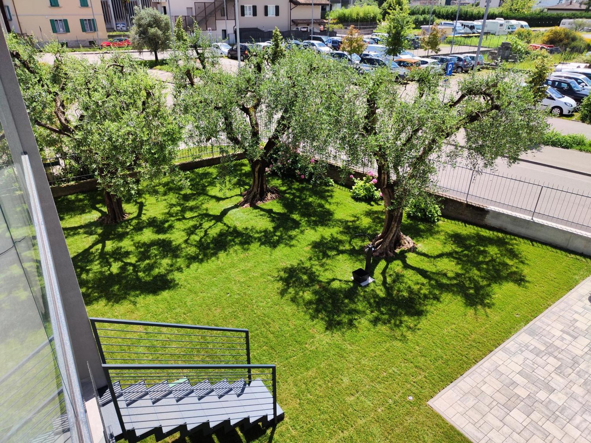 Oasi Degli Ulivi Apartment ริวาเดลการ์ดา ภายนอก รูปภาพ